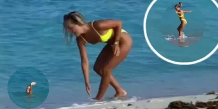 broma-mago-bikini-media-825x413.jpg