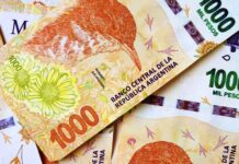 ANSES: ¿qué es el Salario Básico Universal?