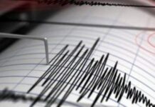 Dos fuertes sismos sacudieron a Mendoza y se sintieron en San Juan