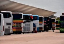 Transporte de media distancia en Jujuy: aumentaron cerca de un 20% los viajes al interior