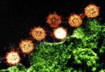 Coronavirus: Las tres localidades jujeñas que se encuentran con un “alto riesgo”