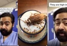 Un médico reveló que el café molido está hecho “con cucarachas”