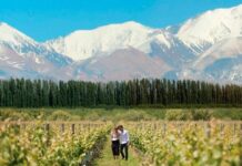 ¿Mendoza se separará de la Argentina?: avanza el plan para que sea un país independiente