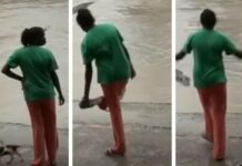 Cocodrilo casi le come el perrito y ella lo espantó a ojotazos