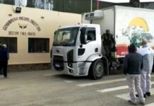 Trasporte de pollos detenido en Tres Cruces: llevaba pechuga, pata y muslo, y cocaína