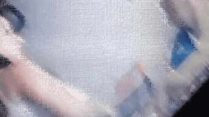 sin_txtulo_crop1619295856456.png_1734428432
