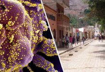 Coronavirus: La cepa de “Manaos” fue detectada en Tilcara