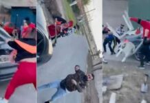VIDEO | La nueva y brutal pelea entre Yao Cabrera y La Chabona: “a palazos”