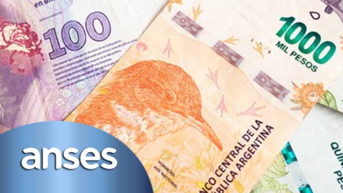 anses-logo-dinero-02