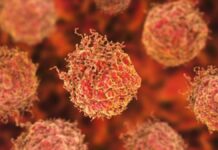 Avance científico: Un virus modificado hace que el cáncer se elimine a sí mismo