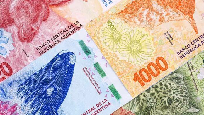 dinero-anses-09