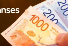 AUH, AUE, plus para AUH, jubilaciones, bono de $15000 de Anses y Programa Hogar: quiénes cobran hoy miércoles 16 de junio