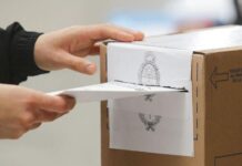 ¿Qué se vota en las PASO nacionales de este domingo?