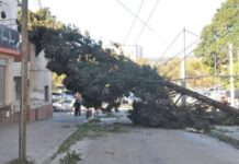 Fuertes ráfagas de viento causan cortes de luz y destrozos en Jujuy