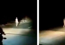 Aterradoras imágenes de una extraña criatura caminando por la ruta: aseguran que es un alien