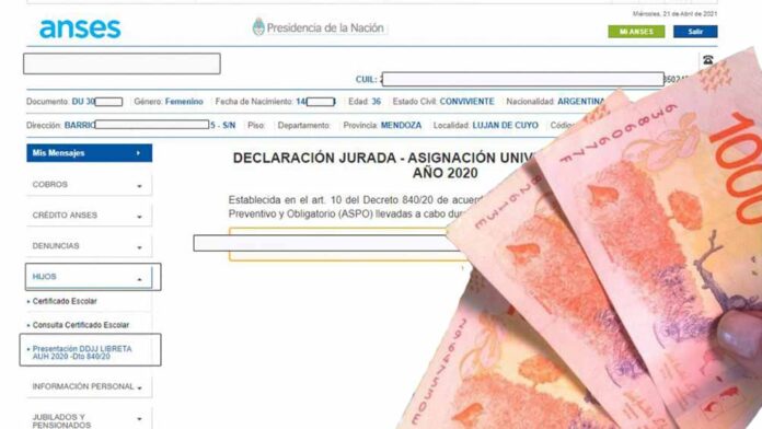 dinero-anses-declaracion-jurada