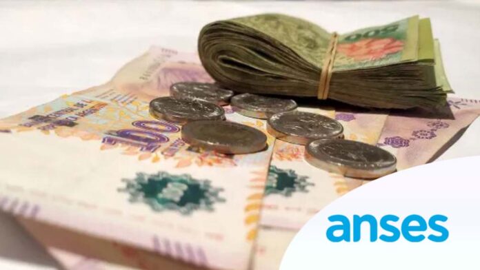 dinero-anses-logo-008