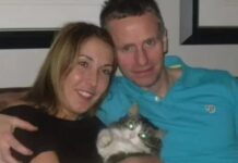 Misterio: su gato murió, lo cremaron y al mes volvió a la casa “sano y salvo”