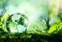Día Mundial del Medio Ambiente: por qué se celebra cada 5 de junio