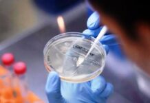 Cuáles son los principales síntomas de la peligrosa variante Delta del Coronavirus