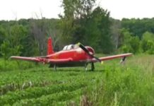 Murió una mujer que cortaba el pasto y le cayó una avioneta encima