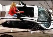 Con matafuego en mano y a los gritos, una mujer destruyó una camioneta