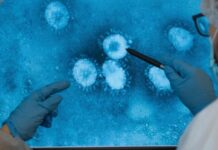 Hallaron virus ‘gigantes’ en el lugar más profundo del océano