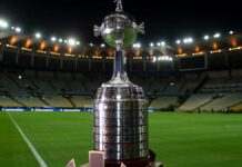 Terminó la Copa América: vuelve la Libertadores ¿cuándo y dónde juegan los argentinos?