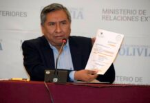Canciller de Bolivia: “La Argentina de Macri les dio munición letal a las fuerzas que reprimieron”