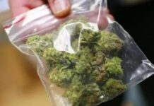 Se tragó una bolsa de marihuana para evitar ser detenido, se ahogó y un policía tuvo que salvarlo