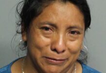 Murió una nena de 2 años que estuvo 7 horas encerrada en un auto: su niñera se la olvidó al bajar