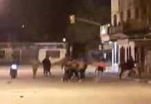 Brutal pelea entre jóvenes norteños a la salida de una fiesta clandestina