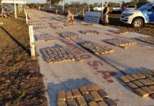 Secuestran más 5.000 kilogramos de “faso”