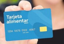 AUH ANSES: el Gobierno da una pésima noticia a las titulares de la Tarjeta Alimentar