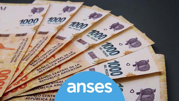 dinero-anses-logo-015-min
