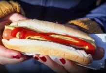 Un estudio advierte que comer panchos acorta tu vida y hasta midieron cuánto