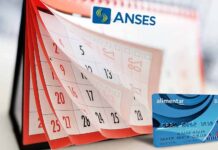 Tarjeta Alimentar: fecha confirmada de cobro para titulares de Anses