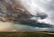La mitad de la población en el mundo es afectada por los impactos del cambio climático
