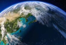 Cómo se verían los perros y gatos en 10.000 años según la IA