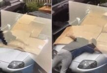 Un joven protege su coche deportivo de una granizada cubriéndolo con su propio cuerpo (VIDEO)