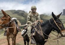El recóndito pueblo de Alto Calilegua, donde la urna llegó en mula tras una travesía de 8 horas