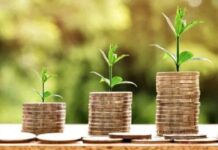 Coin verde: la criptomoneda que busca reforestar el Amazonas