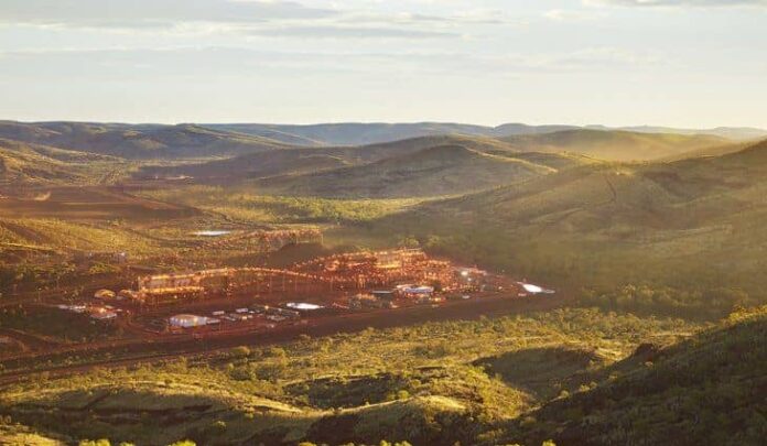 fortescue-plantajpg-min
