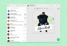 WhatsApp Web: ¿Cómo crear stickers en la app sin bajarte otro programa?