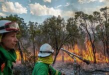 Australia se encuentra azotada por incendios forestales e inundaciones
