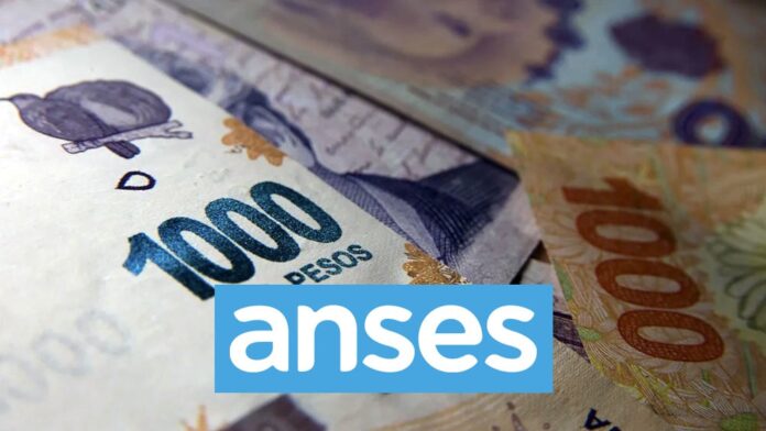 dinero-anses-billetes-14-min