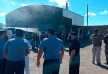Quemaban 20 toneladas de marihuana y llenaron de humo a todo un pueblo