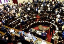 “Con los votos del Frente de Todos es suficiente para avanzar” en Diputados