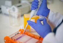 Un paso hacia la juventud eterna: desarrollan una vacuna contra las ‘células zombi’ que estimulan el envejecimiento