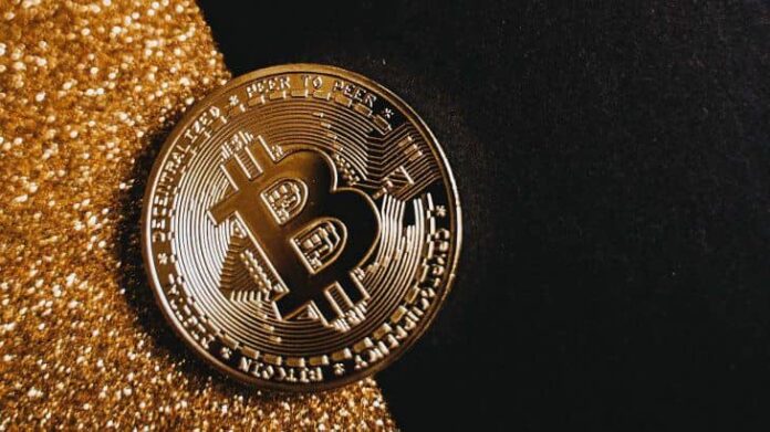 para-el-funcionario-holandes-bitcoin-no-tiene-valor-intrinseco-min